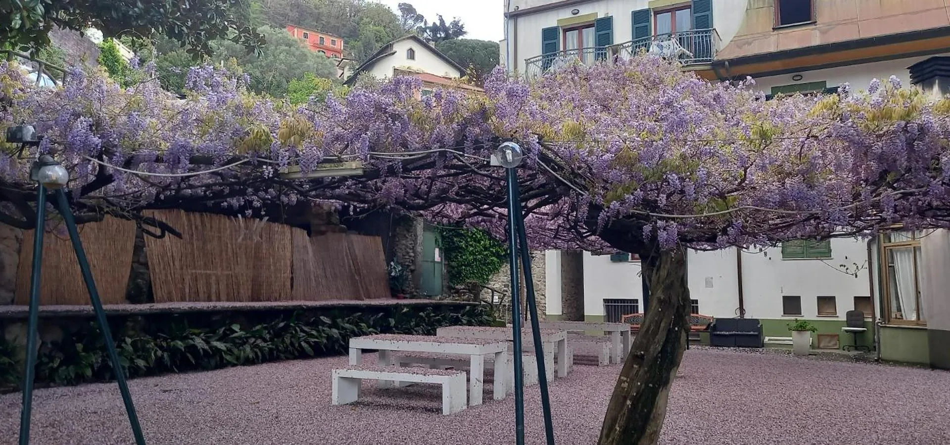 Hotel Residence Moneglia Ιταλία